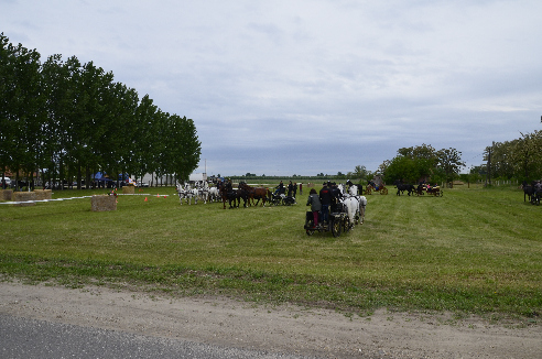 _DSC0890