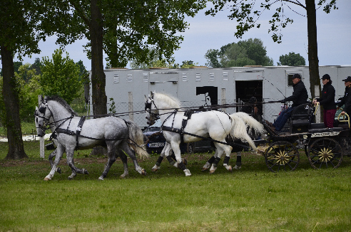 _DSC1060